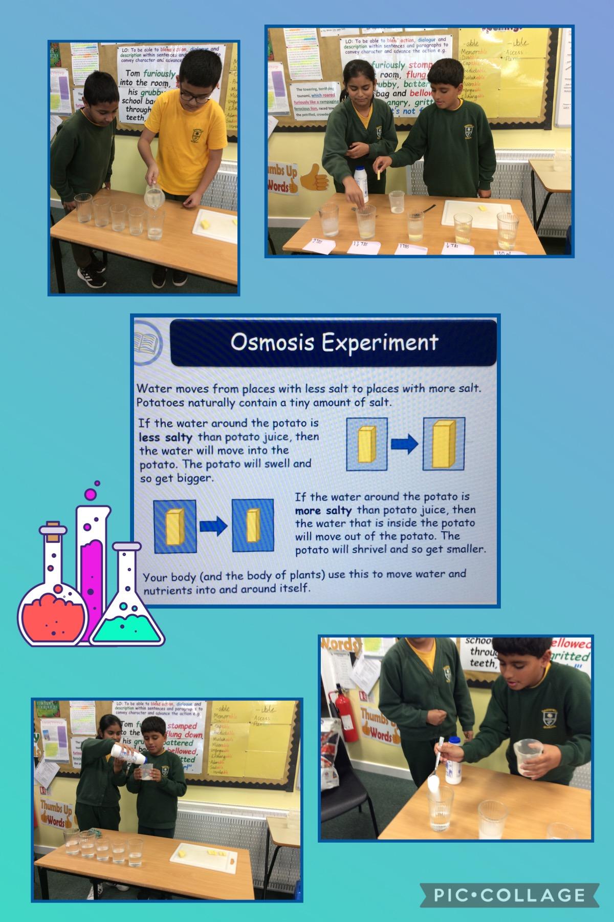 We conducted an experiment to test 'Osmosis'