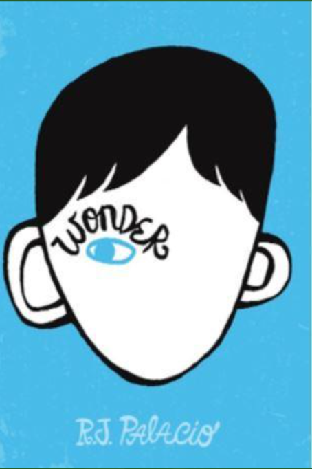 This term we are reading 'Wonder'